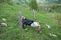a passo di granchio